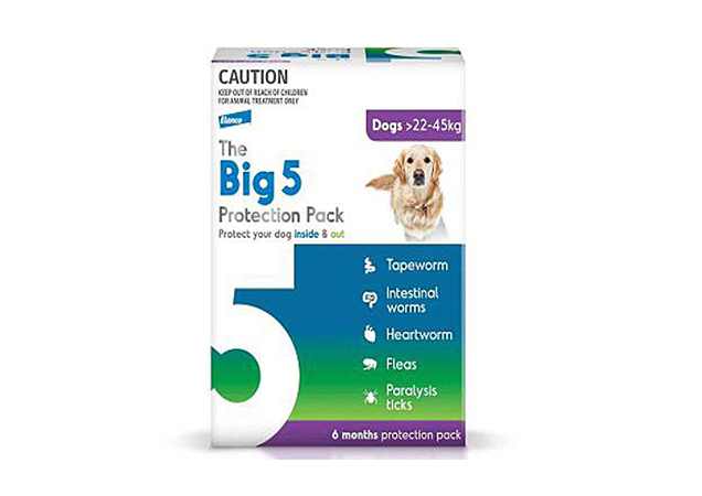 big five flea and tick protection pack